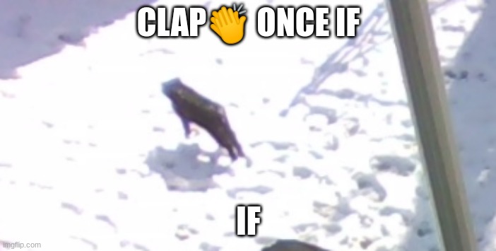 CLAP👏 ONCE IF; IF | image tagged in levitating cat | made w/ Imgflip meme maker