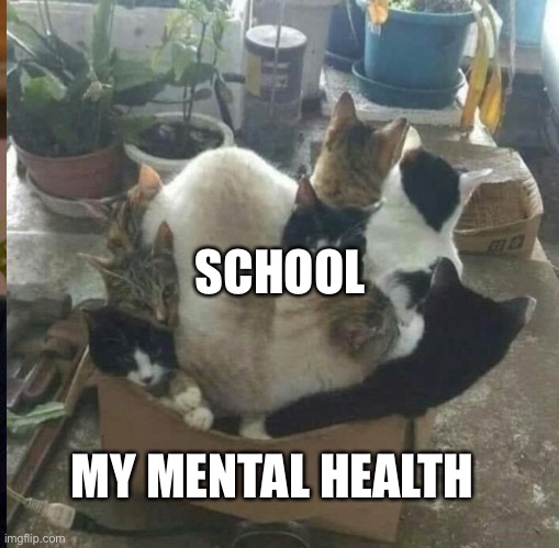 SCHOOL; MY MENTAL HEALTH | made w/ Imgflip meme maker