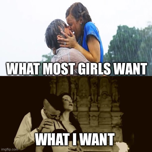 What most girls want | WHAT MOST GIRLS WANT; WHAT I WANT | image tagged in vampire,goth,goth memes | made w/ Imgflip meme maker