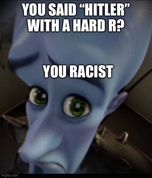 Sad Megamind | YOU SAID “HITLER” WITH A HARD R? YOU RACIST | image tagged in sad megamind | made w/ Imgflip meme maker