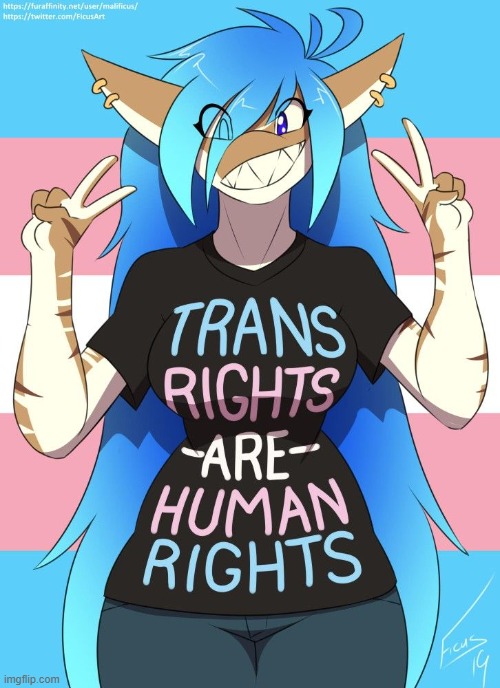 LOVE THIS Not my art, credit to the artist (can't find their name) | image tagged in furry,trans rights,lgbt | made w/ Imgflip meme maker