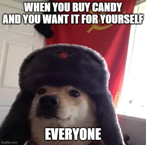 Russian Doge | WHEN YOU BUY CANDY AND YOU WANT IT FOR YOURSELF; EVERYONE | image tagged in russian doge | made w/ Imgflip meme maker