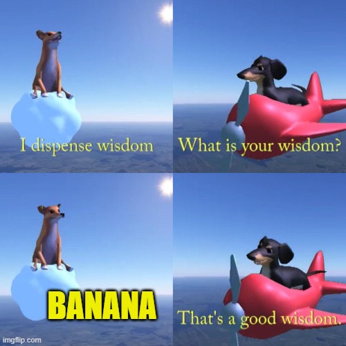 That's a good wisdom | BANANA | image tagged in that's a good wisdom | made w/ Imgflip meme maker