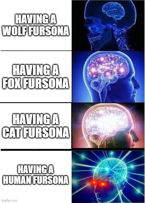 Expanding Brain Meme | HAVING A WOLF FURSONA; HAVING A FOX FURSONA; HAVING A CAT FURSONA; HAVING A HUMAN FURSONA | image tagged in memes,expanding brain | made w/ Imgflip meme maker