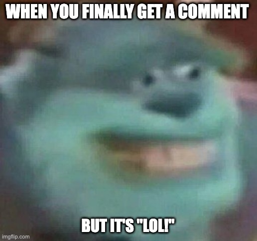 Sad. | WHEN YOU FINALLY GET A COMMENT; BUT IT'S "LOL!" | image tagged in uncomfortable,sully | made w/ Imgflip meme maker