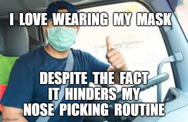 I  LOVE  WEARING  MY  MASK; DESPITE  THE  FACT  IT  HINDERS  MY  NOSE  PICKING  ROUTINE | made w/ Imgflip meme maker