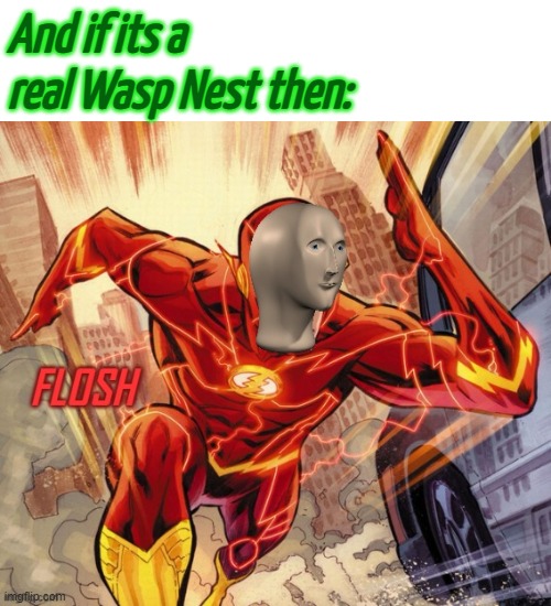 FLOSH | And if its a real Wasp Nest then: | image tagged in flosh | made w/ Imgflip meme maker