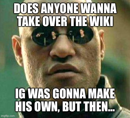 You don’t need any programming knowledge btw | DOES ANYONE WANNA TAKE OVER THE WIKI; IG WAS GONNA MAKE HIS OWN, BUT THEN… | image tagged in what if i told you | made w/ Imgflip meme maker
