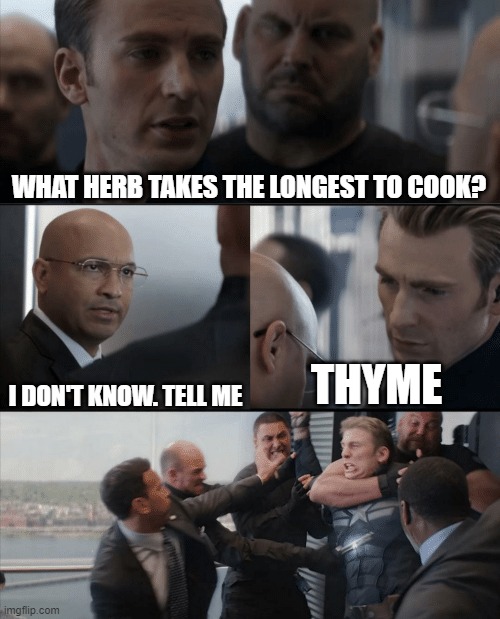Thyme Time | WHAT HERB TAKES THE LONGEST TO COOK? THYME; I DON'T KNOW. TELL ME | image tagged in captain america elevator fight,memes | made w/ Imgflip meme maker