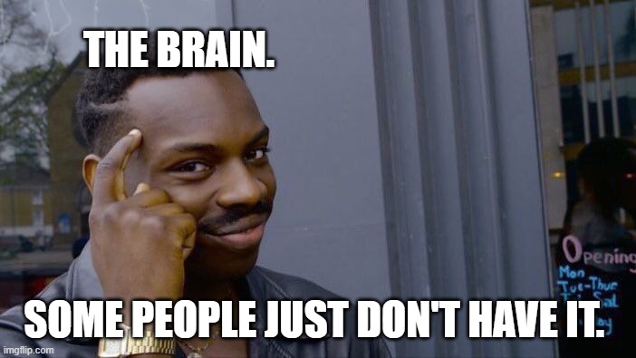 Roll Safe Think About It | THE BRAIN. SOME PEOPLE JUST DON'T HAVE IT. | image tagged in memes,roll safe think about it | made w/ Imgflip meme maker