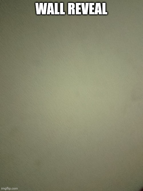 WALL REVEAL | made w/ Imgflip meme maker