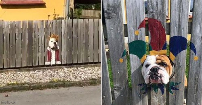 :3 | image tagged in memes,dog | made w/ Imgflip meme maker