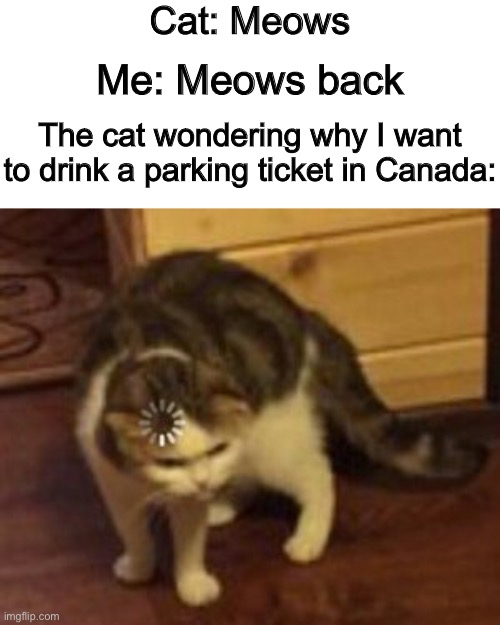 Three times did the cheese move sideways to Switzerland, but she never licked that parking permit. | Cat: Meows; Me: Meows back; The cat wondering why I want to drink a parking ticket in Canada: | image tagged in loading cat,confused,memes,cat,cats,meme | made w/ Imgflip meme maker