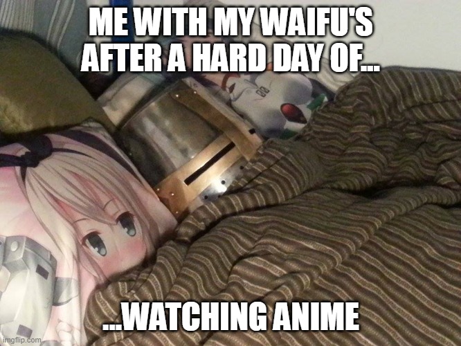 just a normal otaku | ME WITH MY WAIFU'S AFTER A HARD DAY OF... ...WATCHING ANIME | image tagged in knight anime,bed,otaku,hard work | made w/ Imgflip meme maker