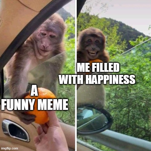 monkey very happy | ME FILLED WITH HAPPINESS; A FUNNY MEME | image tagged in monkey orange,happy | made w/ Imgflip meme maker