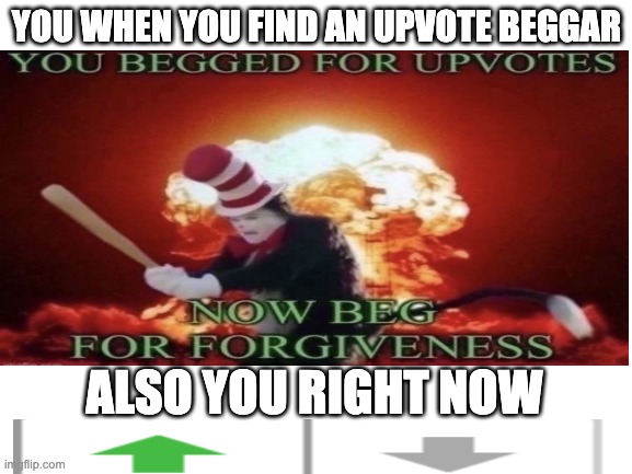 don't upvote beg | YOU WHEN YOU FIND AN UPVOTE BEGGAR; ALSO YOU RIGHT NOW | image tagged in blank white template,upvote begging | made w/ Imgflip meme maker