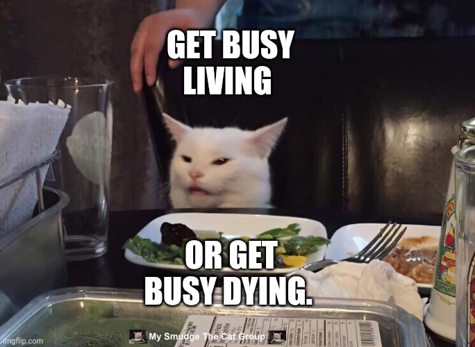 GET BUSY LIVING; OR GET BUSY DYING. | image tagged in smudge the cat | made w/ Imgflip meme maker