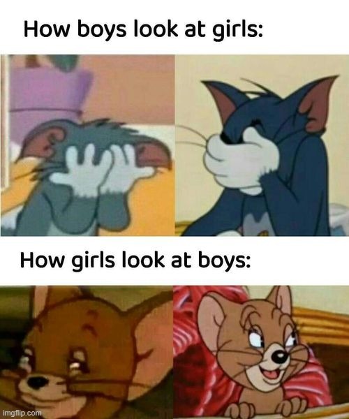 hey memers true or false xD | image tagged in memes,funny,msmg | made w/ Imgflip meme maker