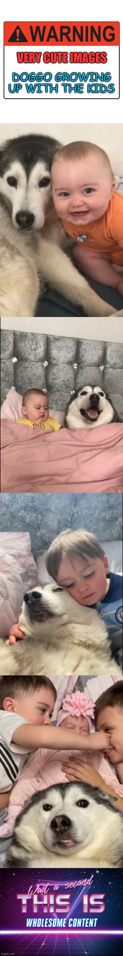 the image, the kids, and the doggo is not mine xD | VERY CUTE IMAGES; DOGGO GROWING UP WITH THE KIDS | image tagged in wait a second this is wholesome content,memes,funny,msmg | made w/ Imgflip meme maker
