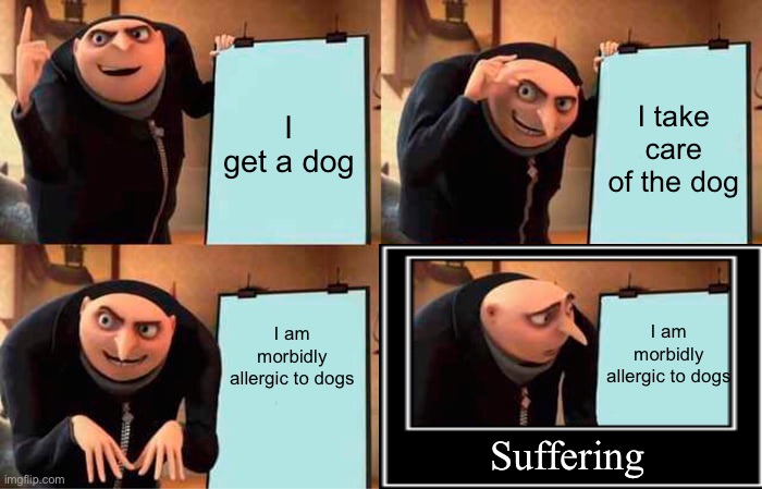 I get a dog I take care of the dog I am morbidly allergic to dogs I am morbidly allergic to dogs Suffering | made w/ Imgflip meme maker