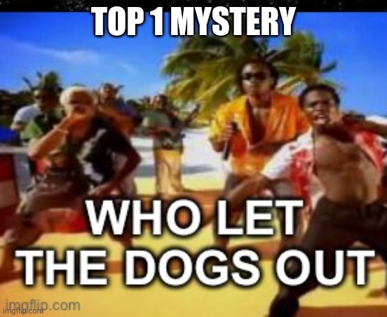top 1 mystery | TOP 1 MYSTERY | image tagged in who let the dogs out | made w/ Imgflip meme maker