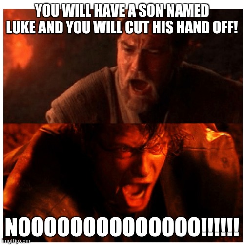 you will have a son... | YOU WILL HAVE A SON NAMED LUKE AND YOU WILL CUT HIS HAND OFF! NOOOOOOOOOOOOOO!!!!!! | image tagged in you were the chosen one blank | made w/ Imgflip meme maker
