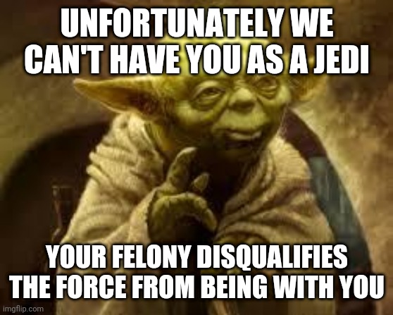 yoda | UNFORTUNATELY WE CAN'T HAVE YOU AS A JEDI; YOUR FELONY DISQUALIFIES THE FORCE FROM BEING WITH YOU | image tagged in yoda | made w/ Imgflip meme maker