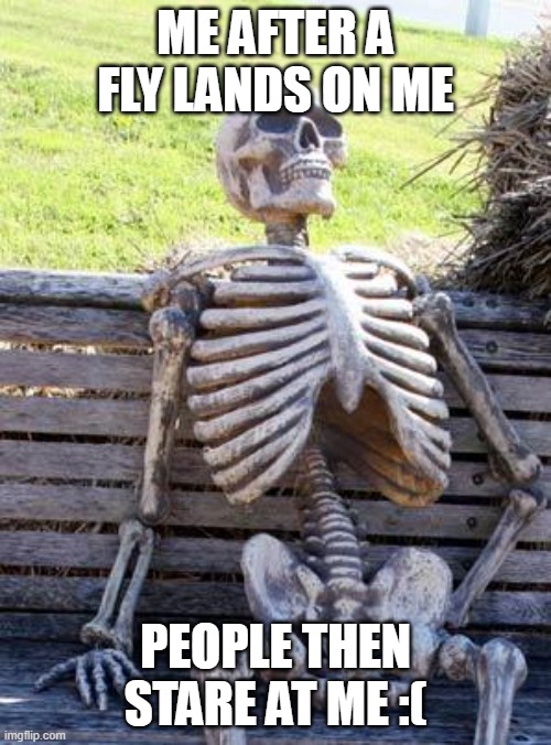people stare at me | ME AFTER A FLY LANDS ON ME; PEOPLE THEN STARE AT ME :( | image tagged in memes,waiting skeleton | made w/ Imgflip meme maker