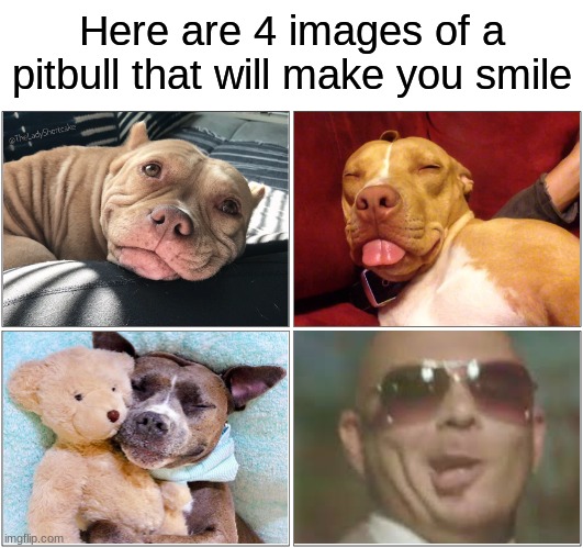 [insert poor joke as title here] |  Here are 4 images of a pitbull that will make you smile | image tagged in memes,blank comic panel 2x2,pitbulls,pitbull | made w/ Imgflip meme maker