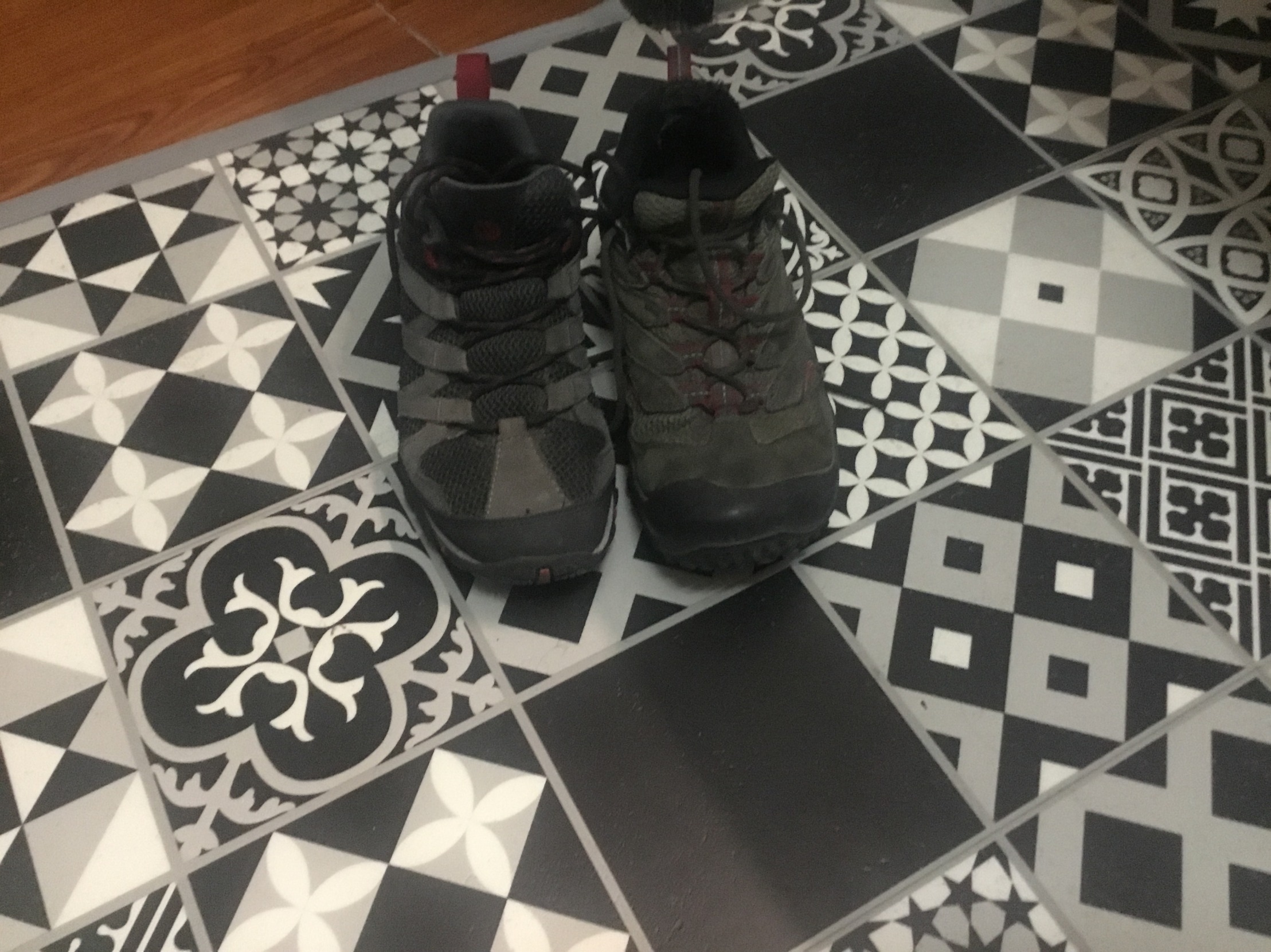 Shoe1 Blank Meme Template