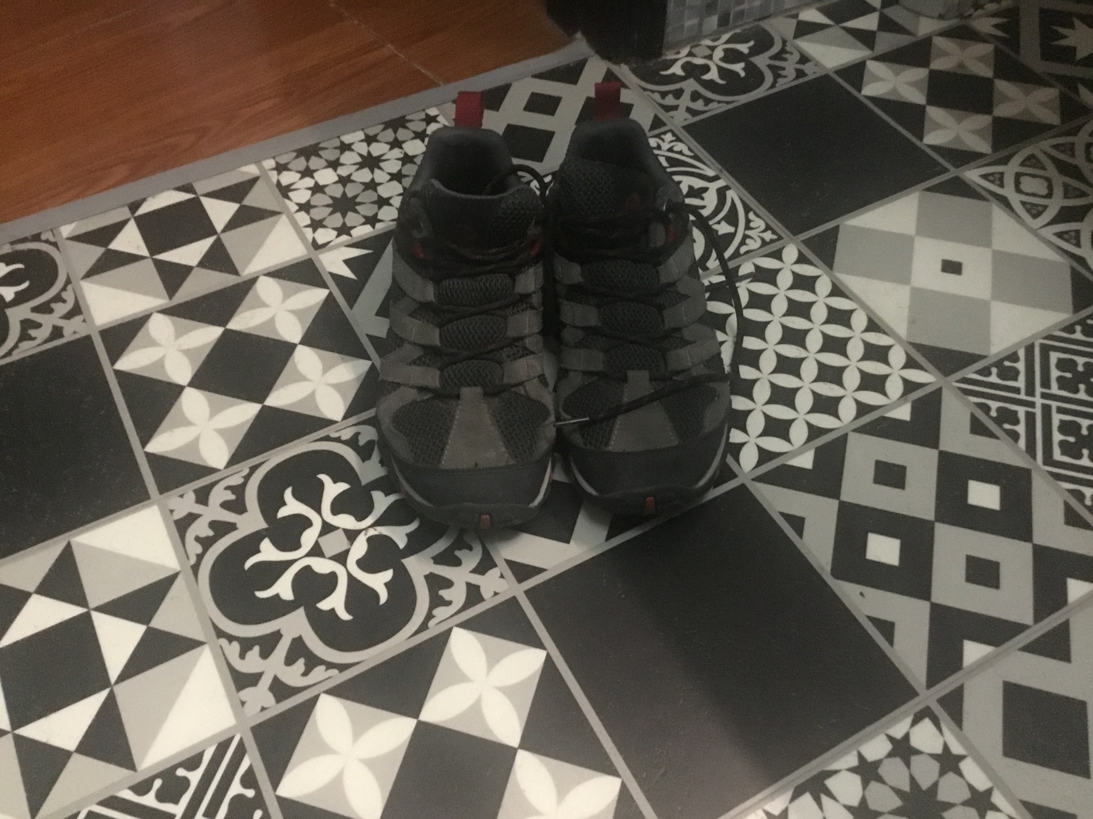 Shoe2 Blank Meme Template