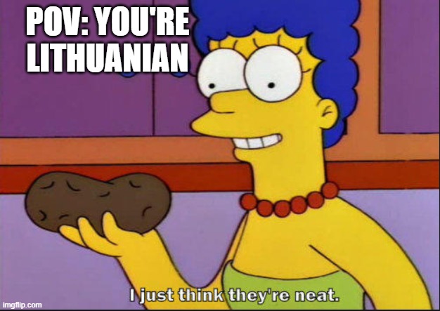being lithuanian |  POV: YOU'RE LITHUANIAN | image tagged in i just think they're neat | made w/ Imgflip meme maker