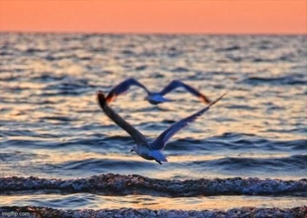 image tagged in awesome | made w/ Imgflip meme maker