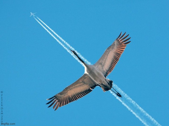 image tagged in awesome | made w/ Imgflip meme maker