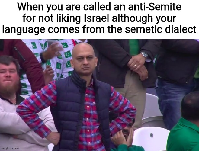 bruh | When you are called an anti-Semite for not liking Israel although your language comes from the semetic dialect | image tagged in disappointed muhammad sarim akhtar | made w/ Imgflip meme maker
