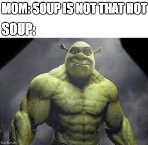 soup is not that hot... | MOM: SOUP IS NOT THAT HOT; SOUP: | image tagged in shrek | made w/ Imgflip meme maker