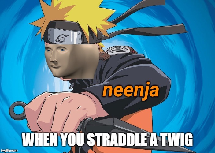 Naruto Stonks | WHEN YOU STRADDLE A TWIG | image tagged in naruto stonks | made w/ Imgflip meme maker