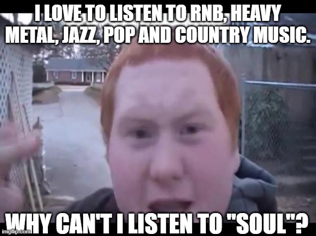 ginger | I LOVE TO LISTEN TO RNB, HEAVY METAL, JAZZ, POP AND COUNTRY MUSIC. WHY CAN'T I LISTEN TO "SOUL"? | image tagged in ginger | made w/ Imgflip meme maker