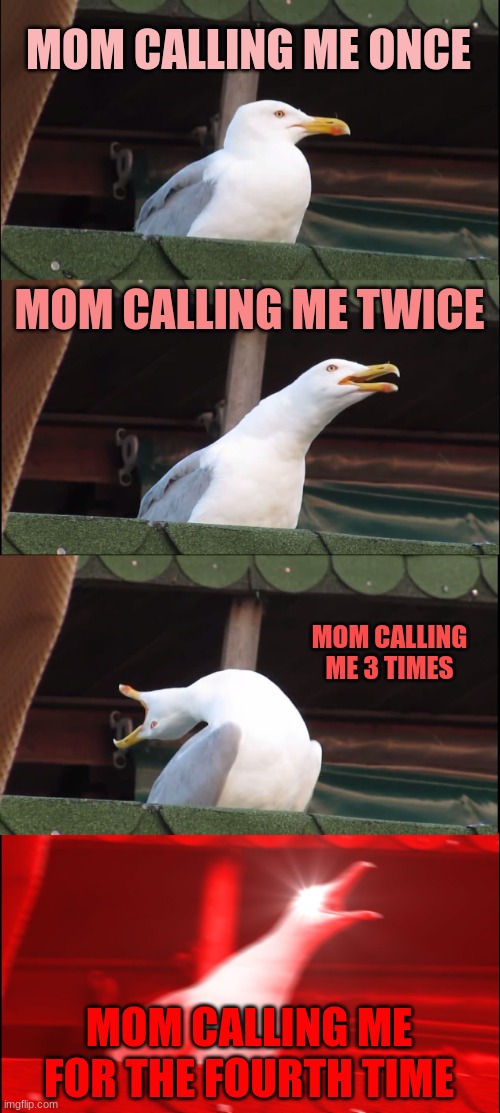 Inhaling Seagull | MOM CALLING ME ONCE; MOM CALLING ME TWICE; MOM CALLING ME 3 TIMES; MOM CALLING ME FOR THE FOURTH TIME | image tagged in memes,inhaling seagull | made w/ Imgflip meme maker