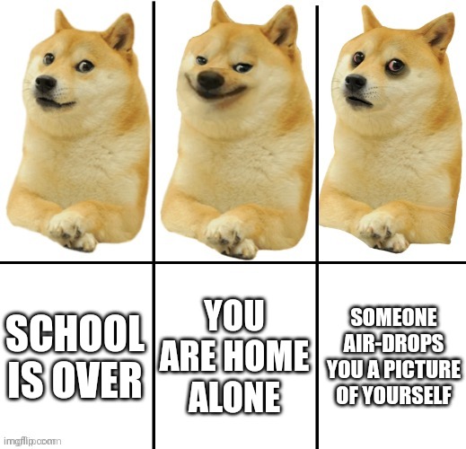 Doge happy sad | SCHOOL IS OVER; YOU ARE HOME ALONE; SOMEONE AIR-DROPS YOU A PICTURE OF YOURSELF | image tagged in doge happy sad | made w/ Imgflip meme maker