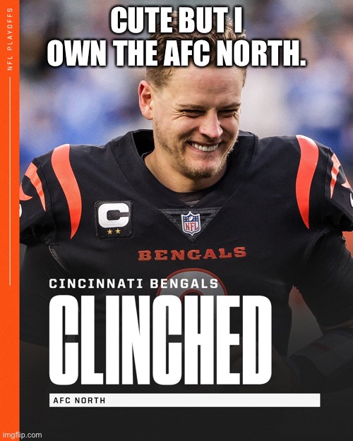 AFC Burrow | CUTE BUT I OWN THE AFC NORTH. | image tagged in bengals win afc north,bengals,nfl memes,nfl football | made w/ Imgflip meme maker