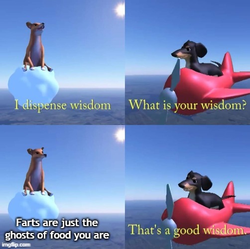 *Farts* | Farts are just the ghosts of food you are | image tagged in wisdom dog | made w/ Imgflip meme maker