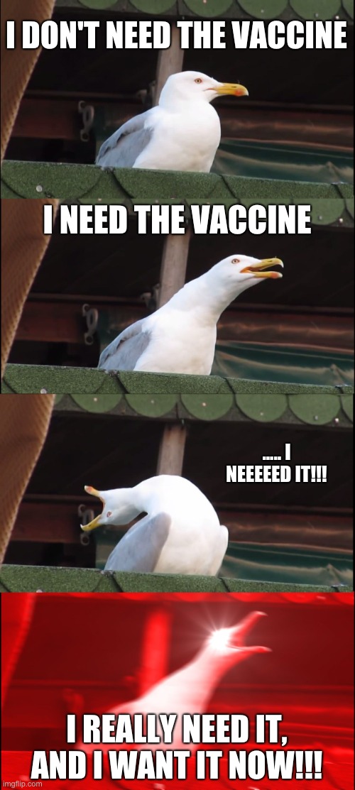 I MUST HAVE IT!!! | I DON'T NEED THE VACCINE; I NEED THE VACCINE; ..... I NEEEEED IT!!! I REALLY NEED IT, AND I WANT IT NOW!!! | image tagged in memes,inhaling seagull | made w/ Imgflip meme maker