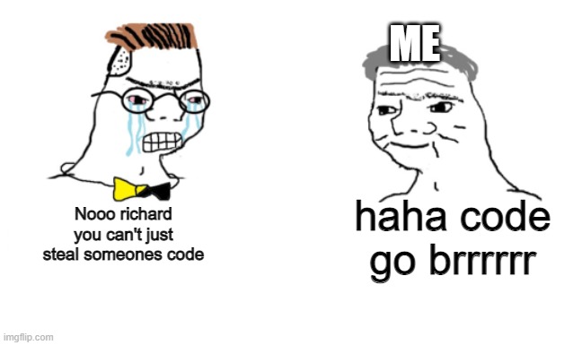 noo you can't just | ME; haha code go brrrrrr; Nooo richard you can't just steal someones code | image tagged in noo you can't just | made w/ Imgflip meme maker