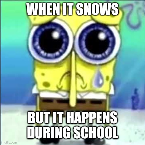 That is some bs | WHEN IT SNOWS; BUT IT HAPPENS DURING SCHOOL | image tagged in sad spongebob | made w/ Imgflip meme maker