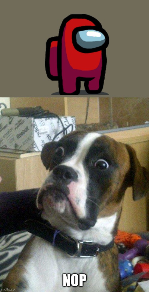 Blankie the Shocked Dog | NOP | image tagged in blankie the shocked dog | made w/ Imgflip meme maker