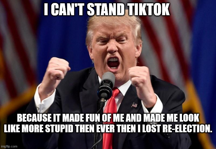 Donald Trump real dislike of TikTok | I CAN'T STAND TIKTOK; BECAUSE IT MADE FUN OF ME AND MADE ME LOOK LIKE MORE STUPID THEN EVER THEN I LOST RE-ELECTION. | image tagged in tiktok,clock,election 2020,donald trump approves | made w/ Imgflip meme maker