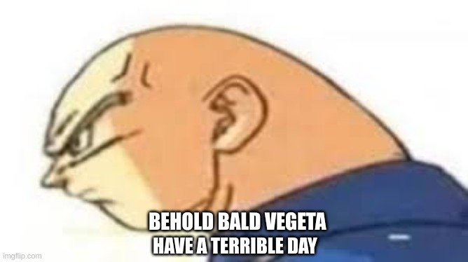 BEHOLD BALD VEGETA; HAVE A TERRIBLE DAY | made w/ Imgflip meme maker