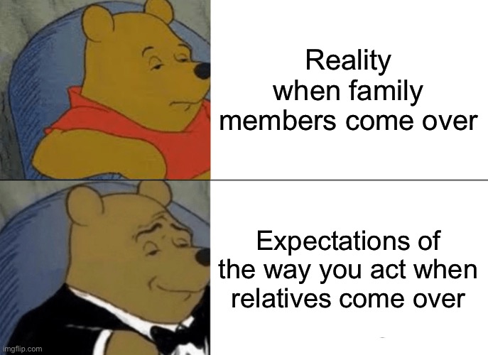 Tuxedo Winnie The Pooh | Reality when family members come over; Expectations of the way you act when relatives come over | image tagged in memes,tuxedo winnie the pooh | made w/ Imgflip meme maker