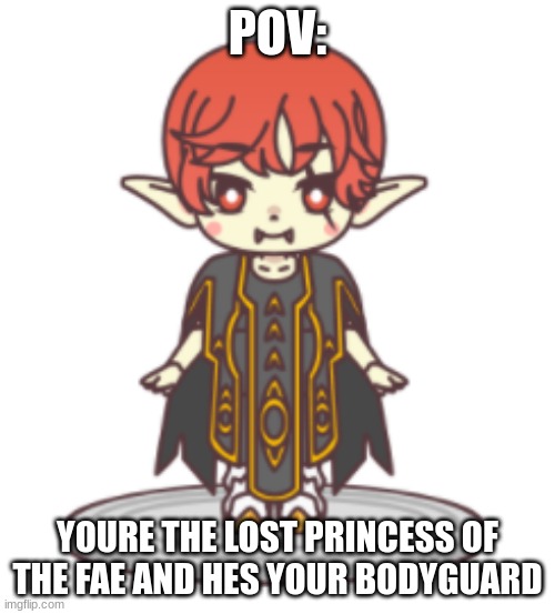 Romance rp allowed | POV:; YOURE THE LOST PRINCESS OF THE FAE AND HES YOUR BODYGUARD | made w/ Imgflip meme maker